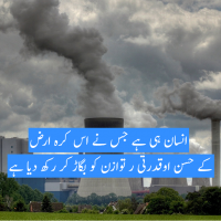 Environmental Pollution