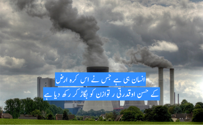 Environmental Pollution