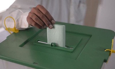 Local Elections