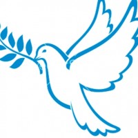 Peace Dove