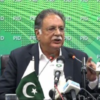 Pervaiz Rashid