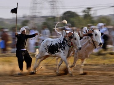 Akhara Bailan