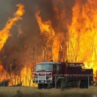 Australia Forest Fire