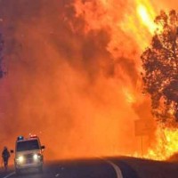 Australia Forest Fire