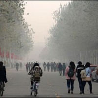 China Environment law