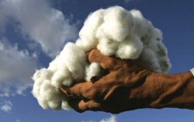 Cotton Wool