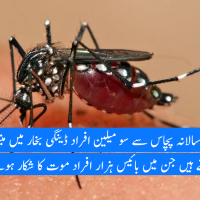 Dengue