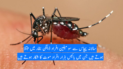 Dengue