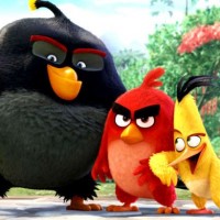 The Angry Birds