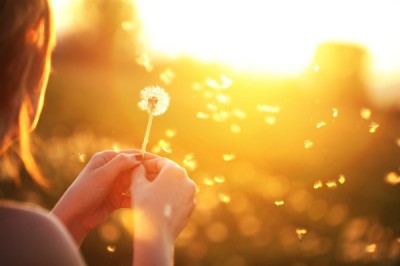 Blowing a Dandelion