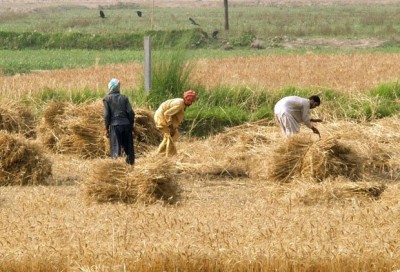 Farmers