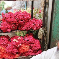 Flowers Price