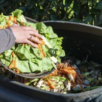 Food Waste