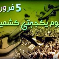 Kashmir Solidarity Day, Pakistani Nation