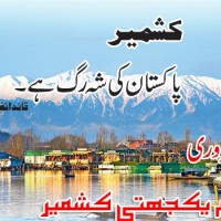 Kashmir Solidarity Day