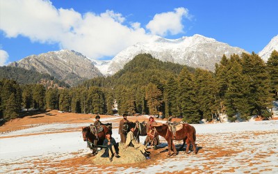 Kashmir