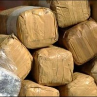 Lyari Drugs Recover