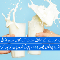 Milk - urdu