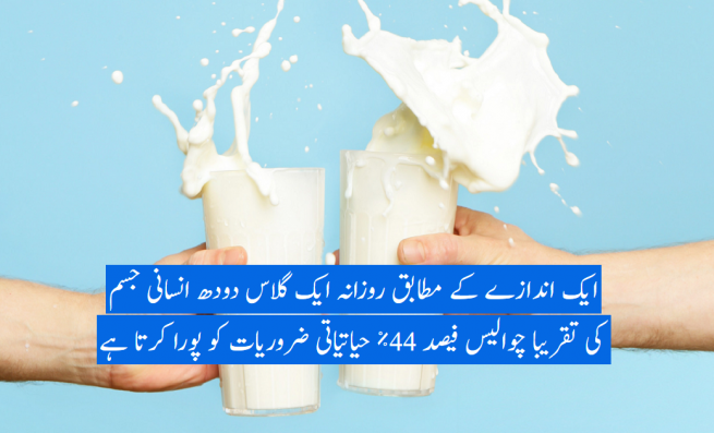 Milk - urdu