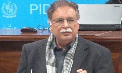 Pervaiz Rashid