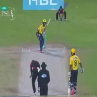 Peshawar Zalmi vs Lahore Qalandars