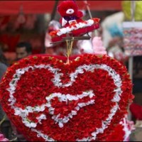 Punjab Assembly Valentineday