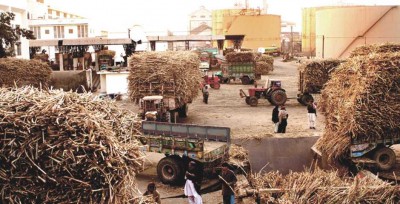 Sugar Mills