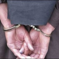 TTP Commander Arrested