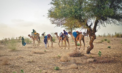 Tharparkar Drought