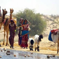 Tharparkar Migration