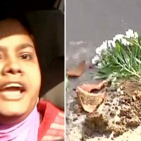 Woman Throws Flowerpot at Modi's