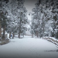 Ziarat Snow