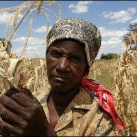 Zimbabwe Malnutrition