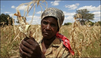 Zimbabwe Malnutrition