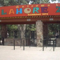 Close Lahore Zoo