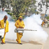 Dengue Spray