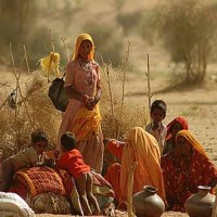 Drought In Thar