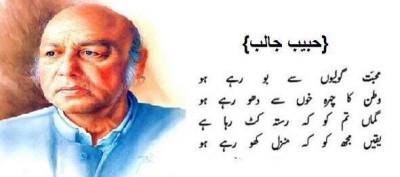 Habib Jalib