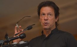 پاکستان کے مستقبل کو بچانے کیلئے شجر کاری کر رہے ہیں: عمران خان