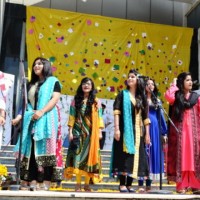 Punjab University Spring Festival