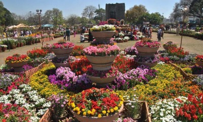 Spring in Lahore