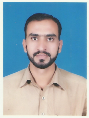 Syed Safeer Hussain Zaidi