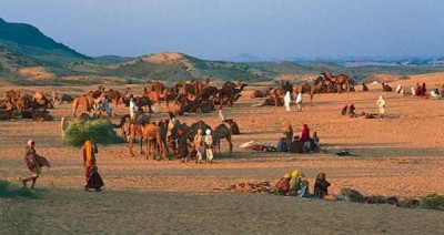 Thar Desert