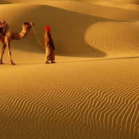 Thar Desert