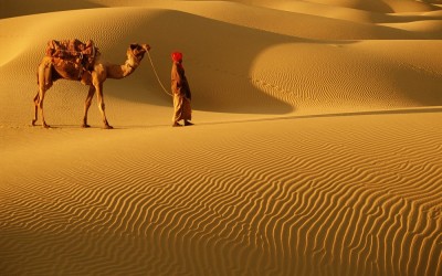 Thar Desert