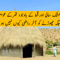 Thar Hut