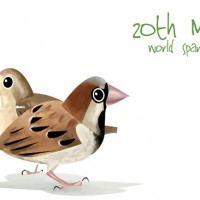 World Sparrow Day