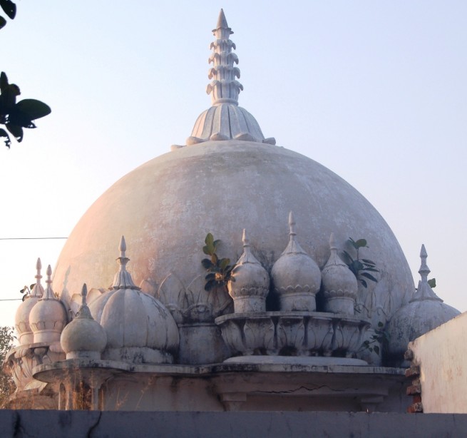 Darbar e A'aliya Channi Mast Qalandar, Phalia