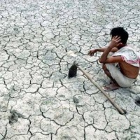 Indian Farmers