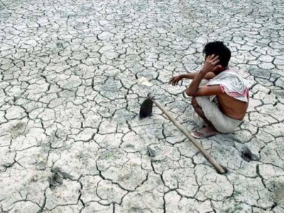 Indian Farmers